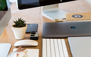  PG拳击玫瑰：适合女性的零基础燃脂塑形拳击法（PG拳击玫瑰）